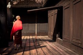 beginner photographer course