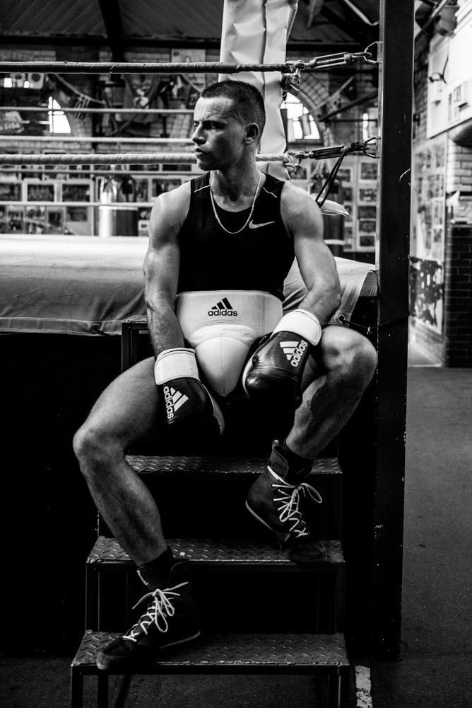 Boxer Portrait