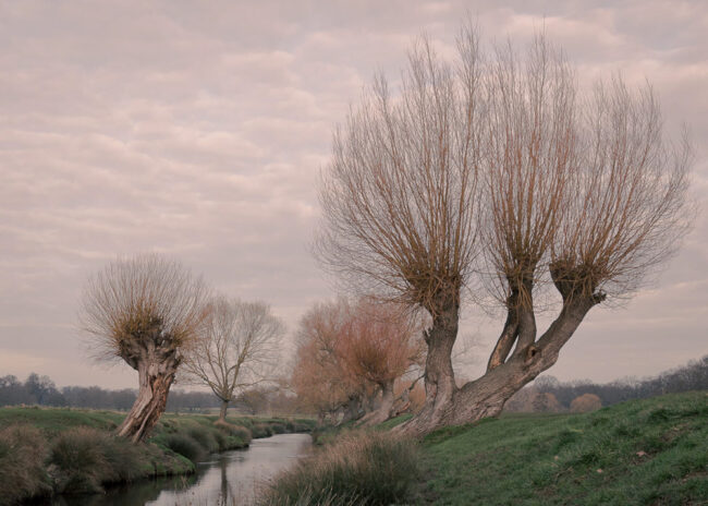Richmond Park by Martin Dahlgren